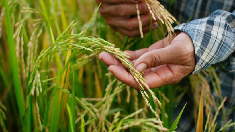  Су ресурстары және ирригация министрлігі 