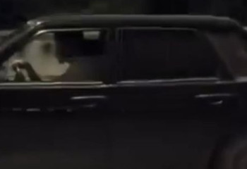 Семейде сүйіктісін ұрып, ұрлап кетпек болған жүргізуші анықталды