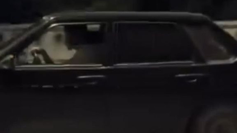  Видеодан кадр 