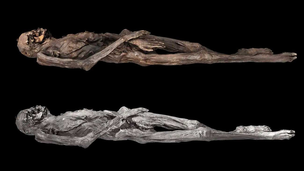  © M. Vavulin / Antiquity Publications 