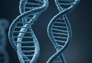 Японские учёные учатся убирать хромосому синдрома Дауна