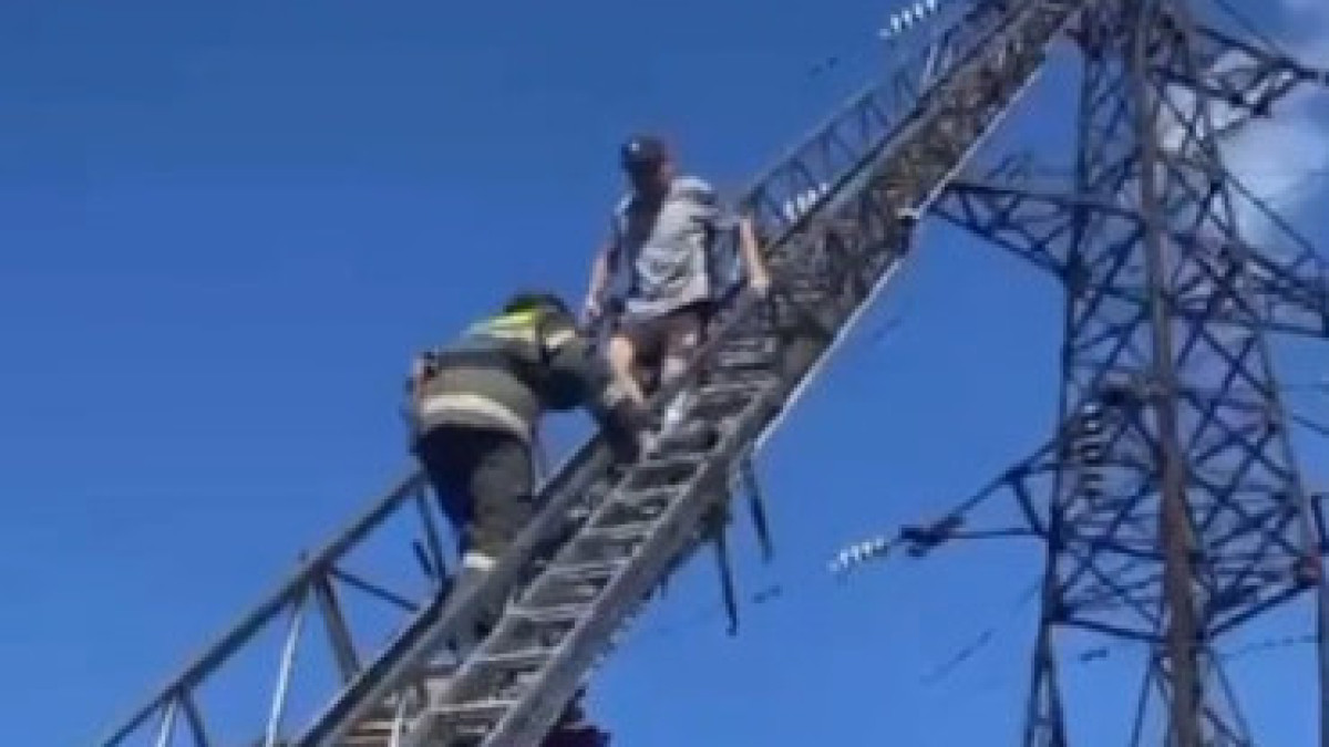  Видеодан кадр 