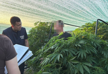 БҚО-да есірткі өсірумен айналысқан 49 жастағы ер адам ұсталды