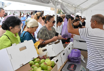 Семейге Түркістан облысынан 540 тоннадан астам өнім жеткізілді