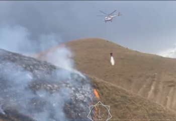 Алматы облысындағы таудағы өрт сөндірілді