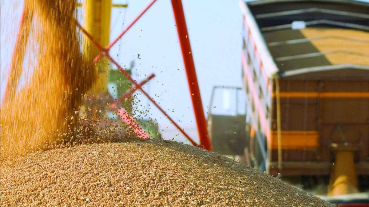  Ауыл шаруашылығы министрлігінің баспасөз қызметі 