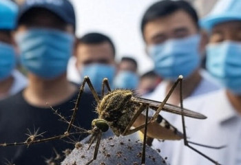 Комаринный 