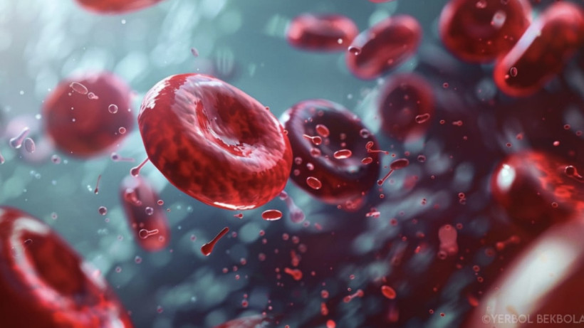  El.kz/ Yerbol Bekbolat/Midjorney 