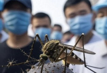 Chikungunya outbreak spreads rapidly in Southern China