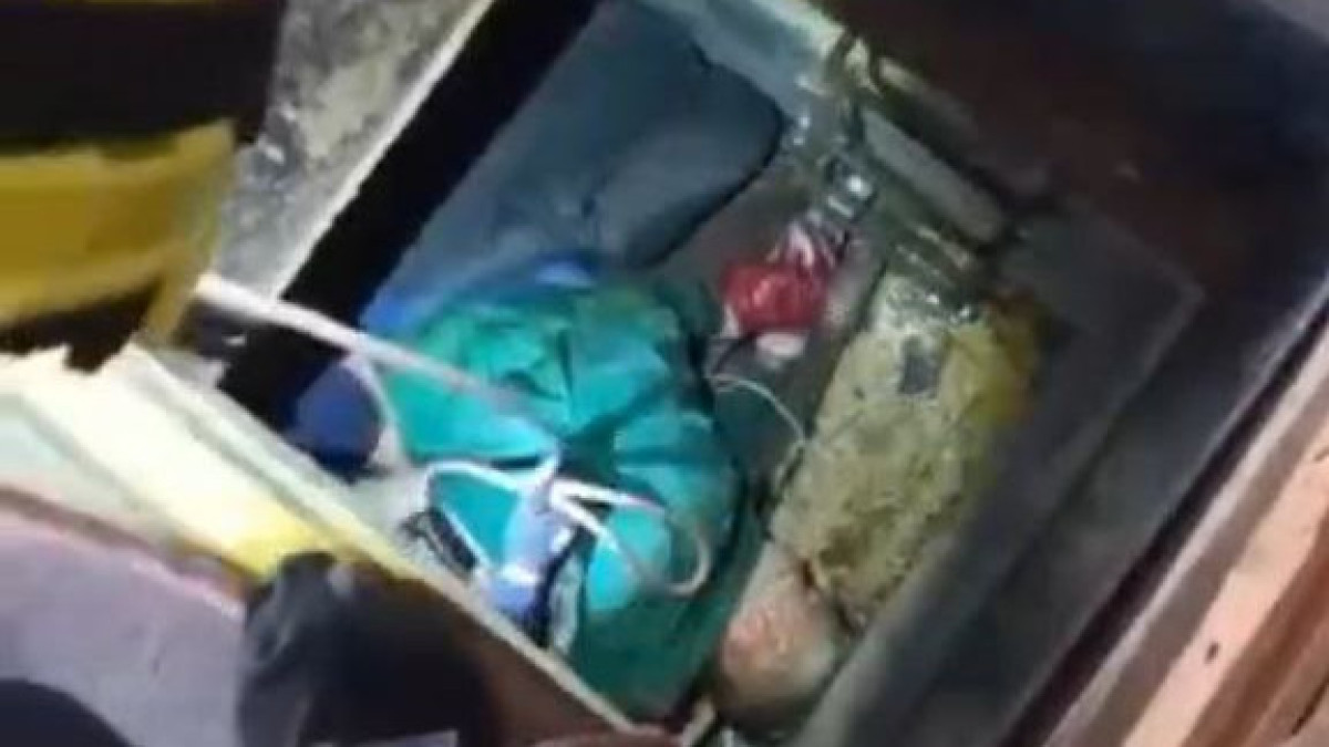  Видеодан кадр 