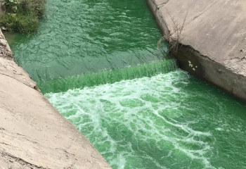 Алматыда Қарғалы өзенін ластағандар іздестіріліп жатыр