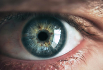 Көз арқылы денсаулықтағы ақауларды қалай анықтауға болады?