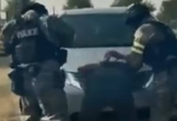 49 бас ірі қара мал ұрлаған қылмыстық топ ақыры қолға түсті