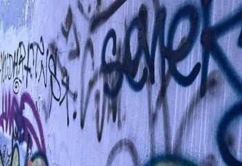 Шымкенте есірткі жарнамалаған жас жігіт сотталды