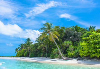 Жасанды интеллект басқаратын алғашқы мемлекет пайда болды