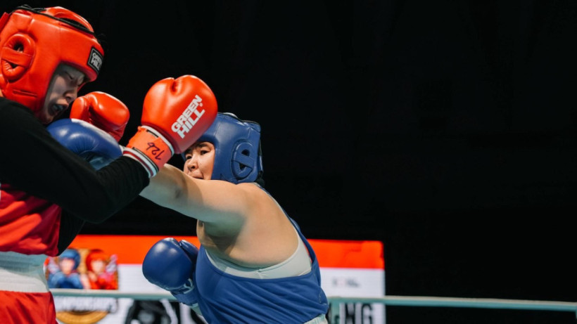  Бокс федерациясы 