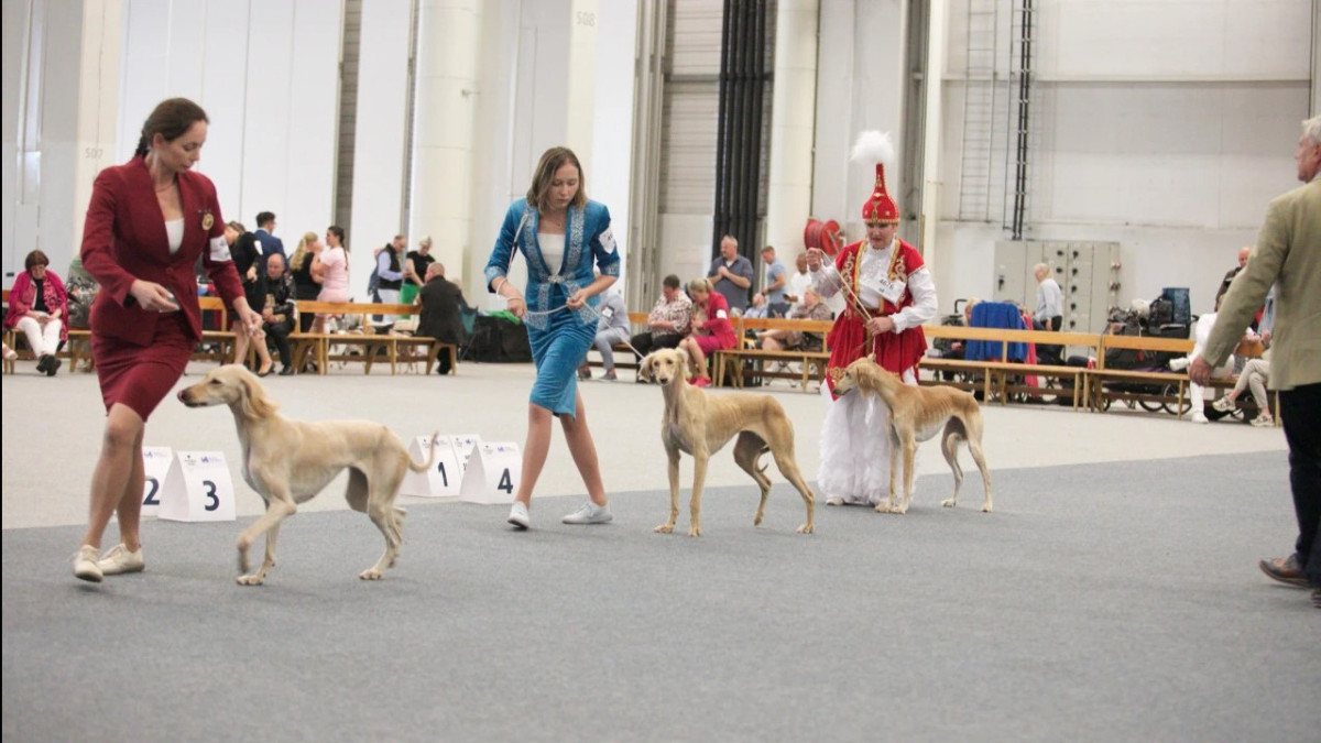  ҚР Президентінің іс басқармасы 