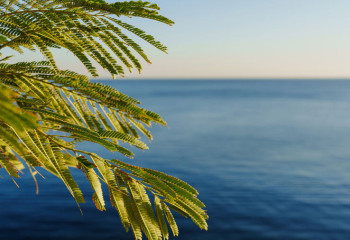 Адамдарды ерекше баурап алатын жерлер анықталды