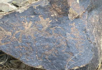 «Казахстан — страна петроглифов»: миссия по сохранению наследия