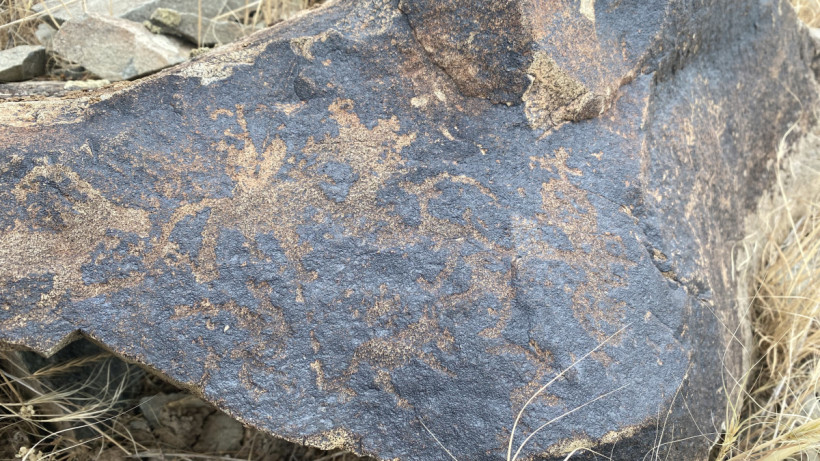  Предоставлено Юрием Дороховым 