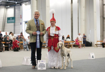 Казахский тазы дебютировал на мировой арене в Хельсинки