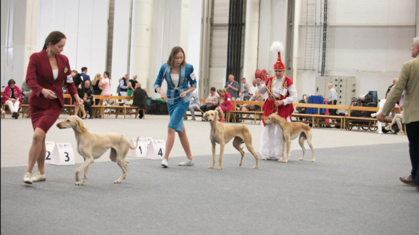  ҚР Президентінің іс басқармасы 