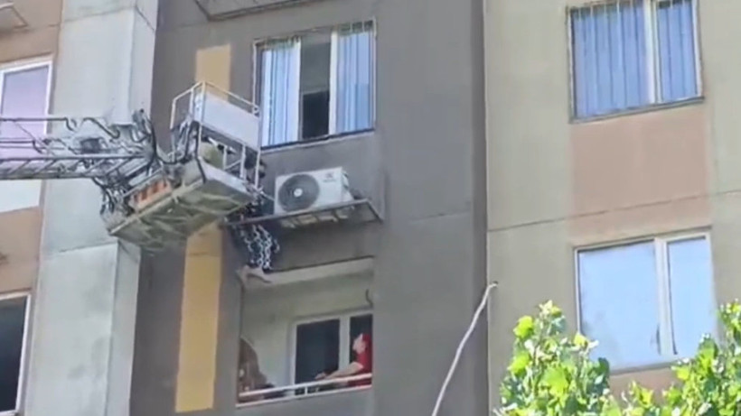  Видеодан кадр 