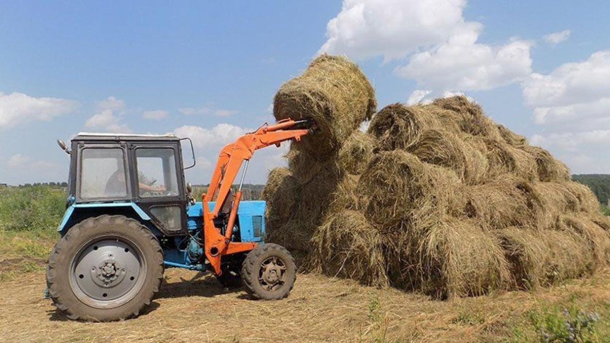  Ауыл шаруашылығы министрлігі 