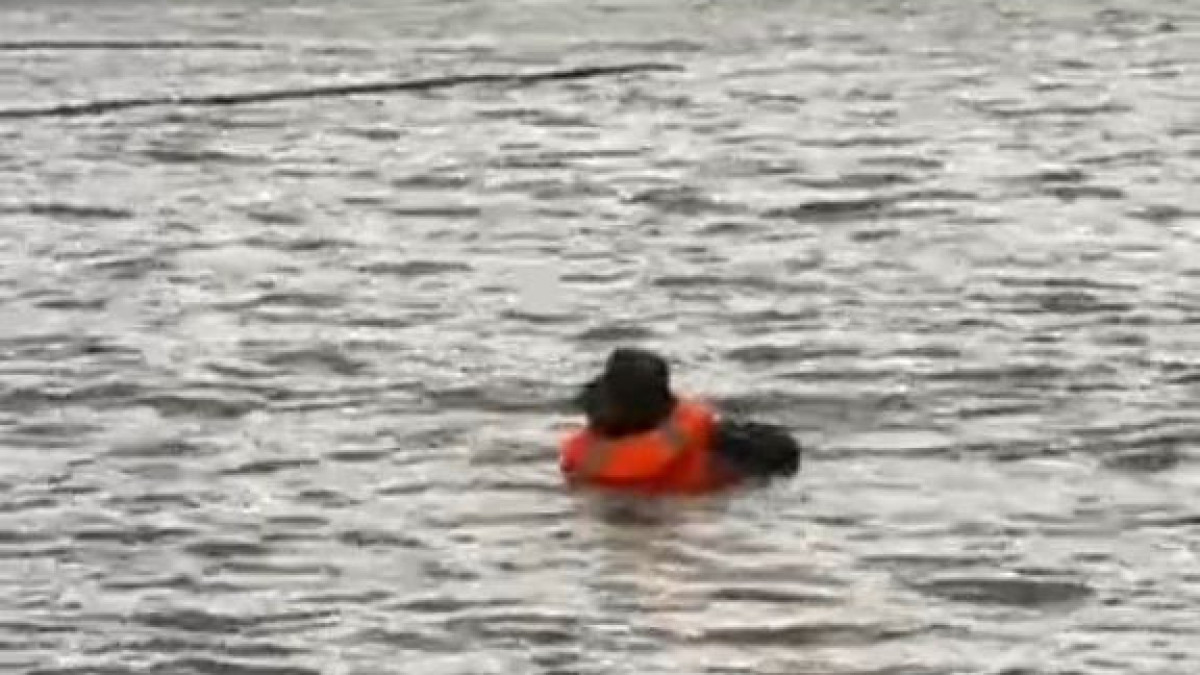  Видеодан кадр 