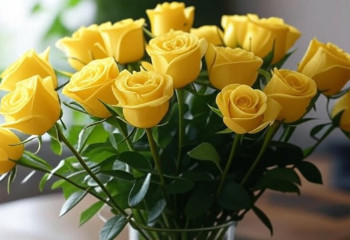 Учёные раскрыли историю роз: все они родом из Азии и были жёлтыми