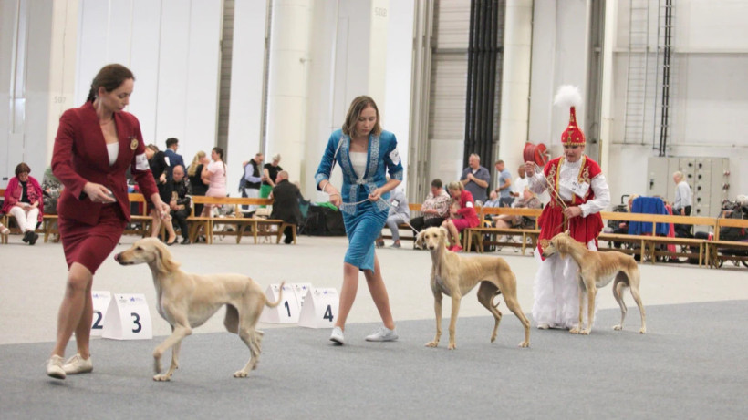  © Управление делами Президента РК 