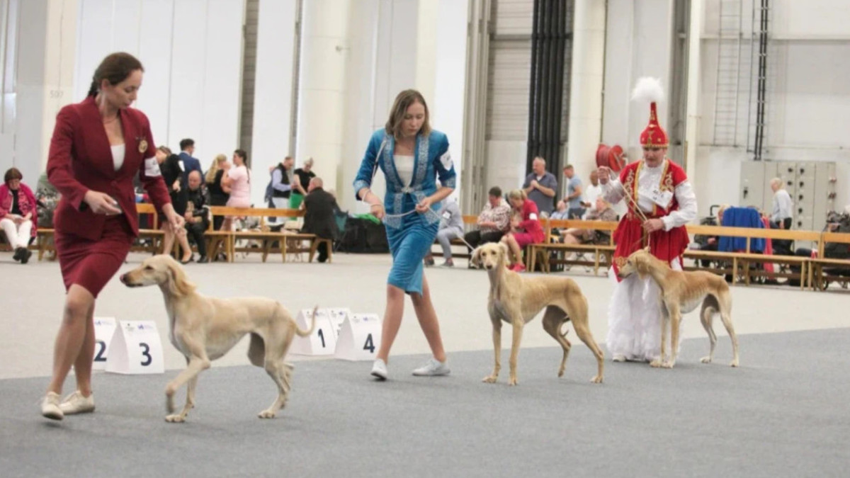  ҚР Президентінің Іс басқармасы Медорталығы 