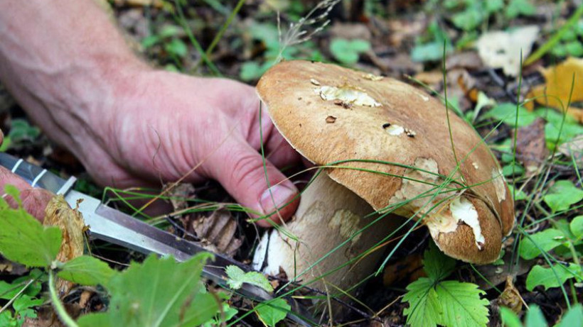  Төтенше жағдайлар министрлігі 