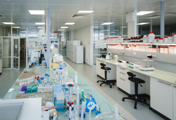 Учёные нашли способ «омолодить» нейроны