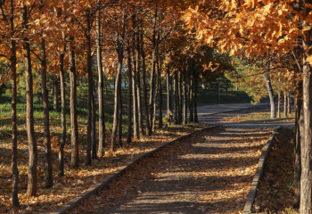 2025 жылдың күзінде қазақстандықтар қанша күн демалады?