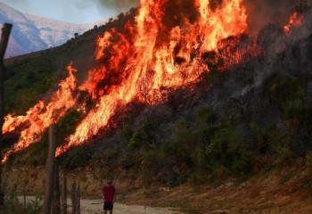 Wildfires rage across southern Europe as temperatures top 40C