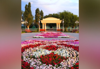 Красота аула в Кызылординской области удивила страну