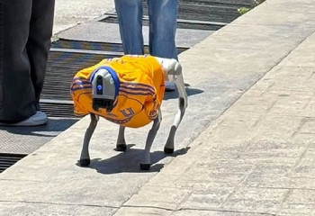 Робот-собака в Мексике следит за порядком и заботой о животных