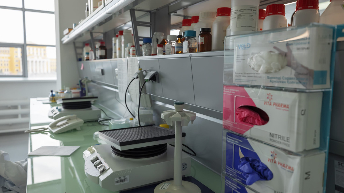  © El.kz / Артем ЧУРСИНОВ 