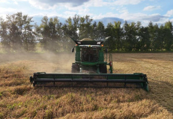 Костанайская область начала уборочную кампанию