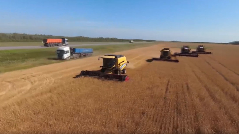  Видеодан кадр 