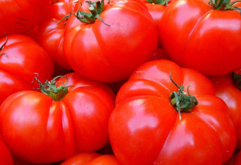 Ағзаны іштен ылғалдандыратын он жеміс пен жидек