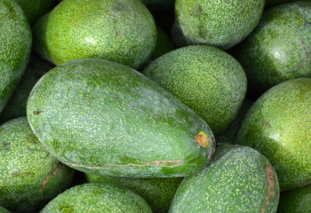 Дұрыс кешкі ас ұйқыны жақсартуға көмектеседі