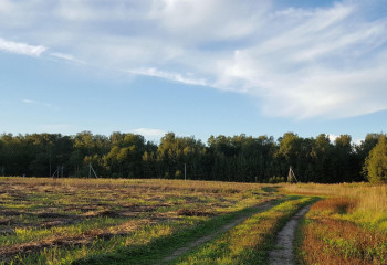 17 тамызда ауа райы қандай болады