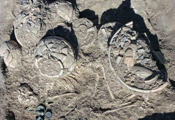 В Иране нашли богатейшее захоронение бронзового века с «юной леди» и древней косметичкой