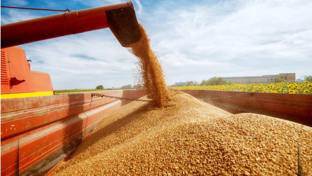  Ауыл шаруашылығы министрлігі 