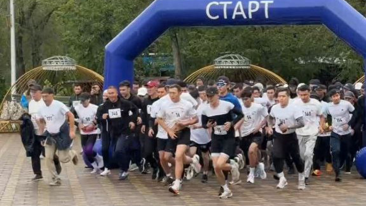  Видеодан кадр 