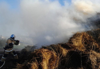 Целиноградта 6 тонна шөп жанып кетті