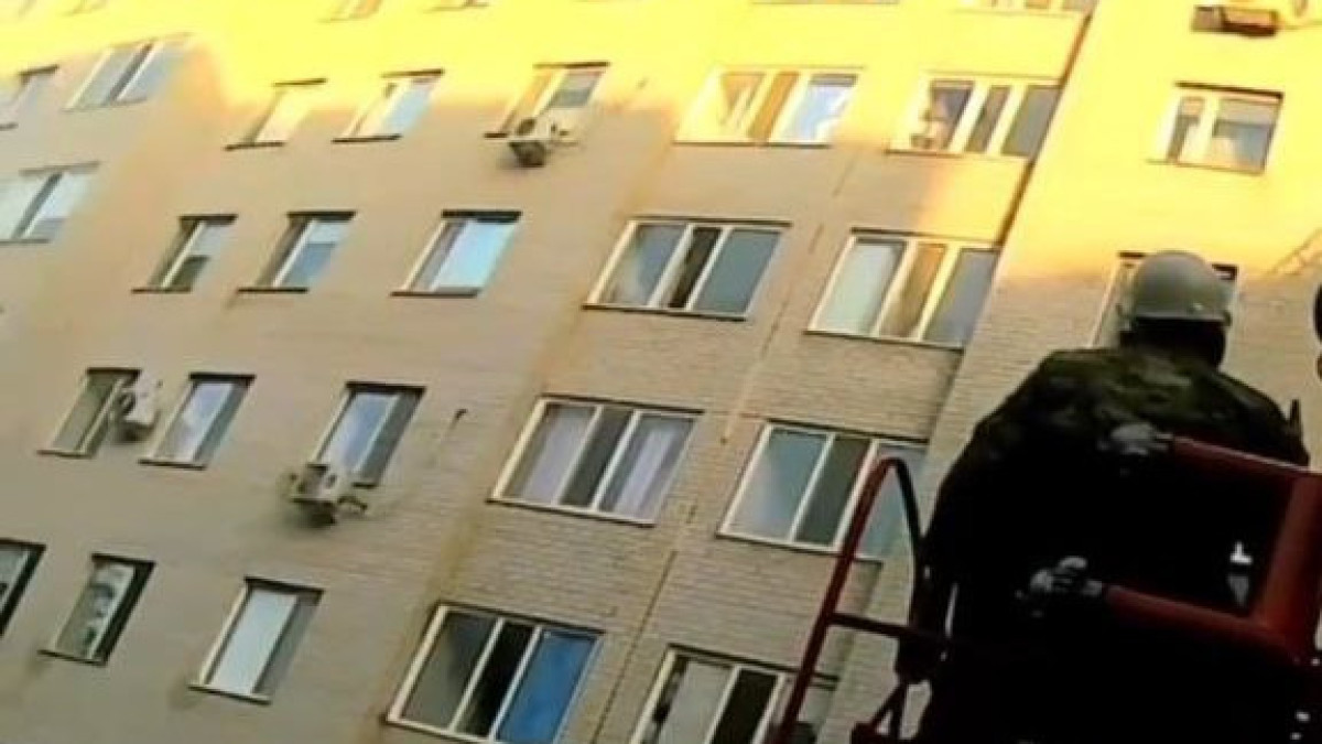  Видеодан кадр 