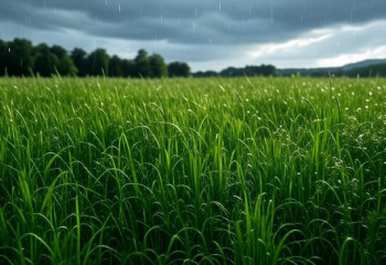 Пожароопасная и грозовая погода накроет Казахстан 19 августа